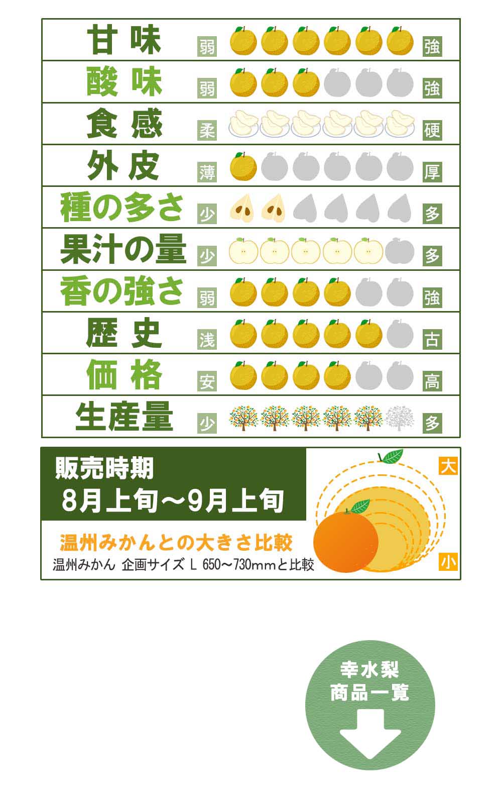 愛媛県産 幸水梨（こうすいなし）