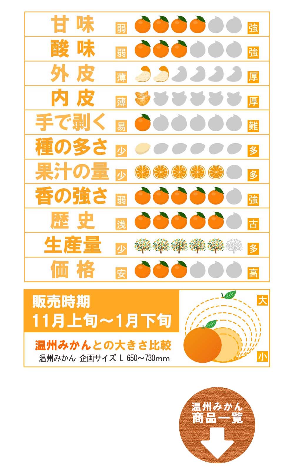 愛媛県産 温州みかん