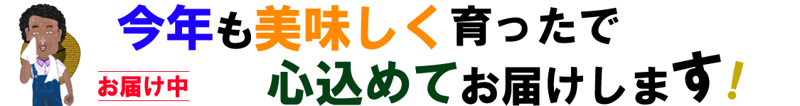 ただいま発送中01